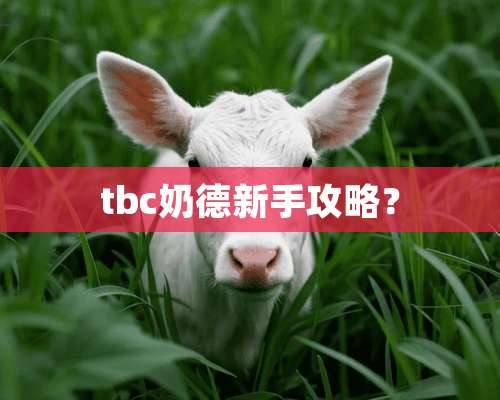 tbc奶德新手攻略？