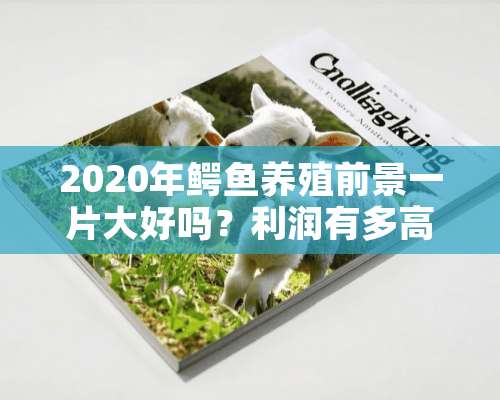 2020年鳄鱼养殖前景一片大好吗？利润有多高？