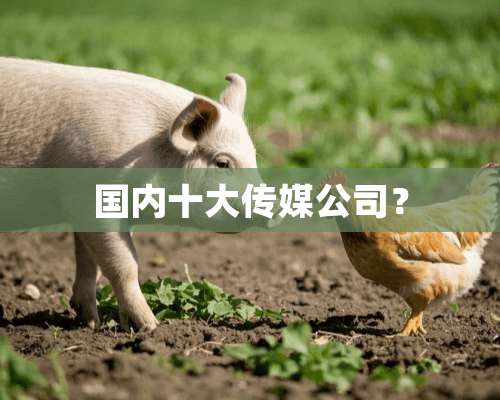 国内十大传媒公司？