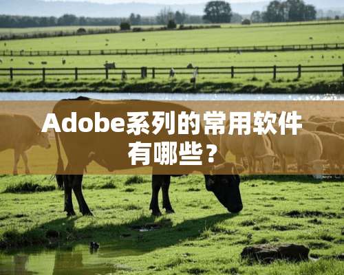 Adobe系列的常用软件有哪些？