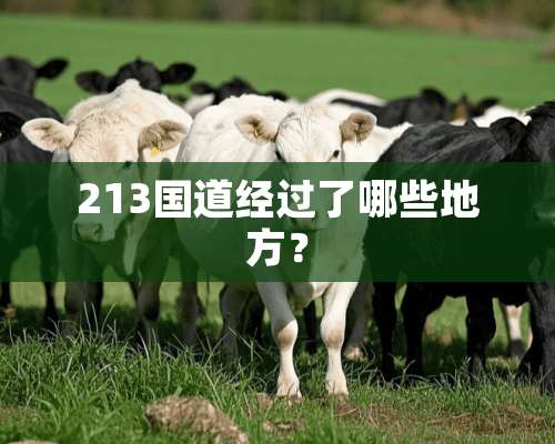 213国道经过了哪些地方？