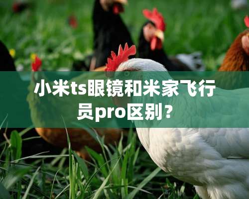 小米ts眼镜和米家飞行员pro区别？