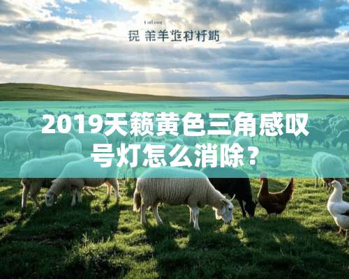 2019天籁**三角感叹号灯怎么消除？