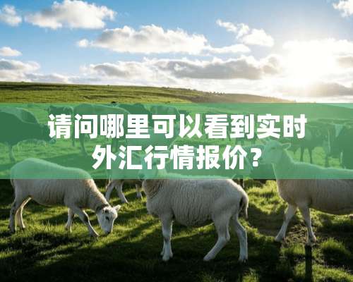 请问哪里可以看到实时外汇行情报价？