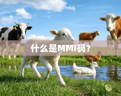 什么是MMI码？