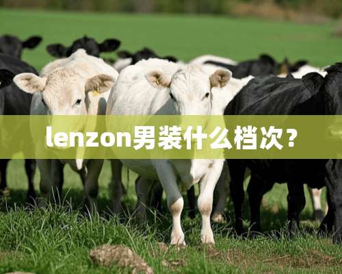 lenzon男装什么档次？