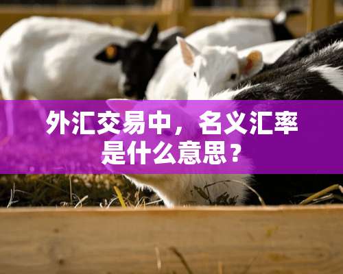 外汇交易中，名义汇率是什么意思？