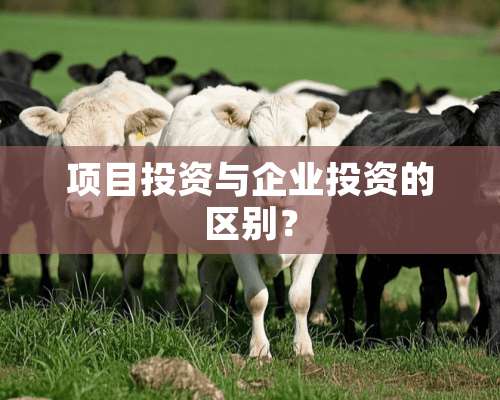 项目投资与企业投资的区别？