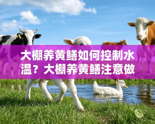 大棚养黄鳝如何控制水温？大棚养黄鳝注意做好4点！