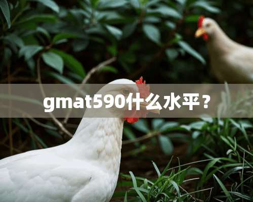 gmat590什么水平？