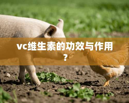 vc维生素的功效与作用？