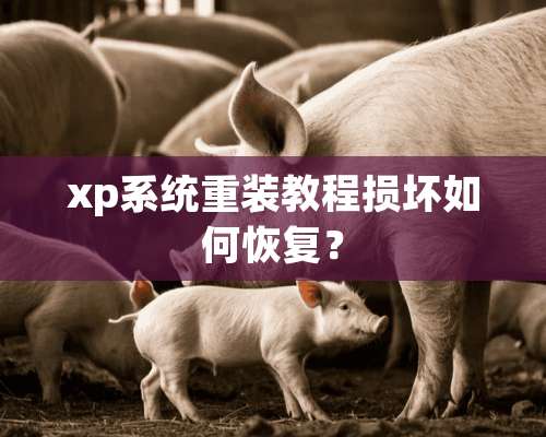 xp系统重装教程损坏如何恢复？