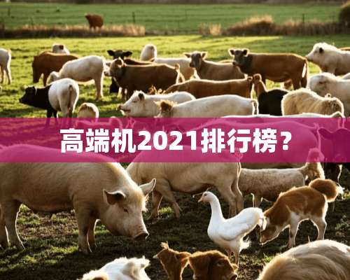 高端机2021排行榜？