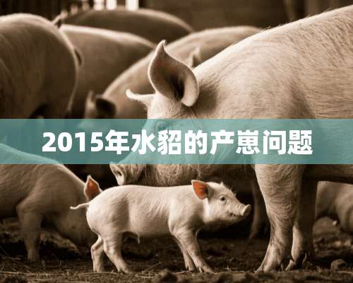 2015年水貂的产崽问题