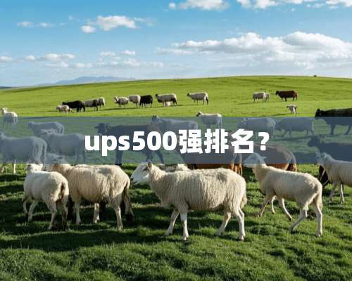 ups500强排名？