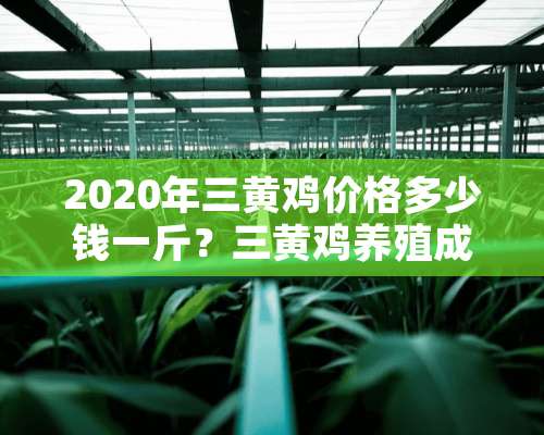 2020年三黄鸡价格多少钱一斤？三黄鸡养殖成本利润分析