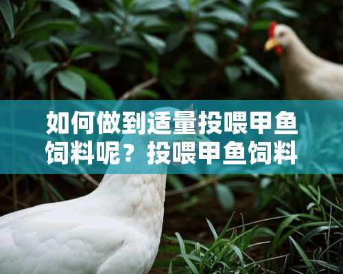 如何做到适量投喂甲鱼饲料呢？投喂甲鱼饲料的方法