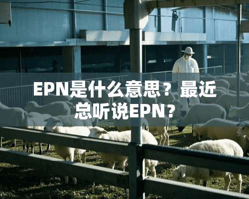 EPN是什么意思？最近总听说EPN？