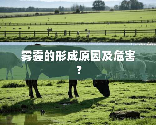 雾霾的形成原因及危害？