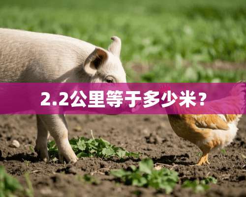 2.2公里等于多少米？