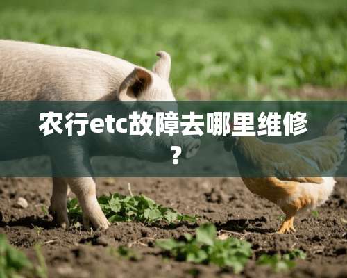 农行etc故障去哪里维修？