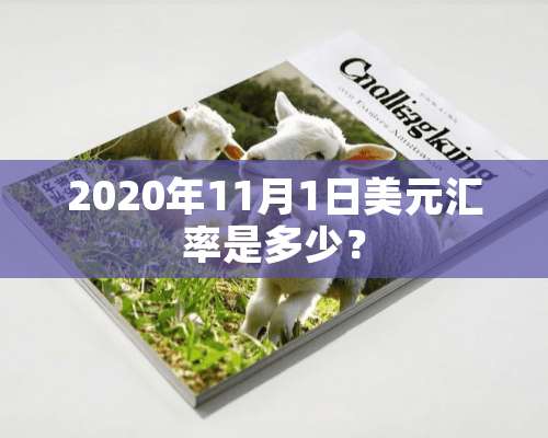 2020年11月1日美元汇率是多少？