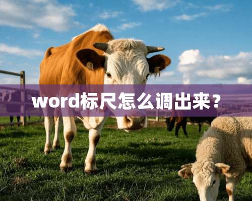 word标尺怎么调出来？