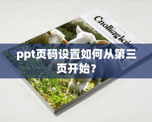 ppt页码设置如何从第三页开始？