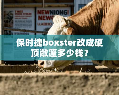 保时捷boxster改成硬顶敞篷多少钱？