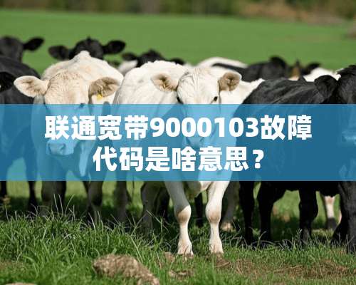 联通宽带9000103故障代码是啥意思？