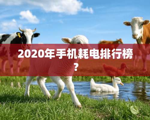 2020年手机耗电排行榜？