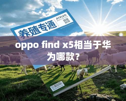 oppo find x5相当于华为哪款？