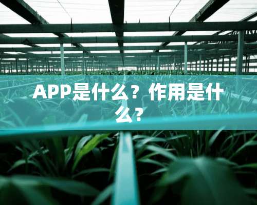 APP是什么？作用是什么？