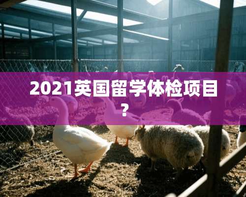 2021英国留学体检项目？