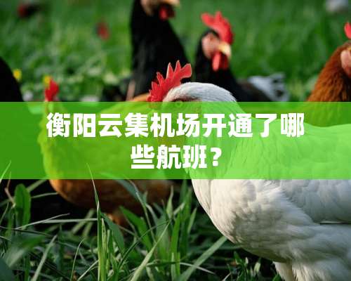 衡阳云集机场开通了哪些航班？