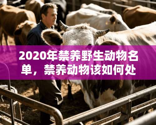 2020年禁养野生动物名单，禁养动物该如何处置？