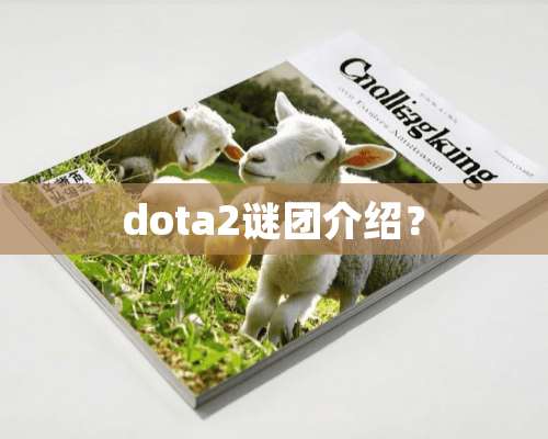 dota2谜团介绍？