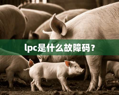 lpc是什么故障码？