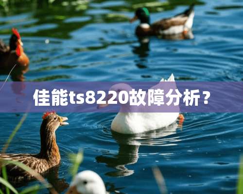 佳能ts8220故障分析？