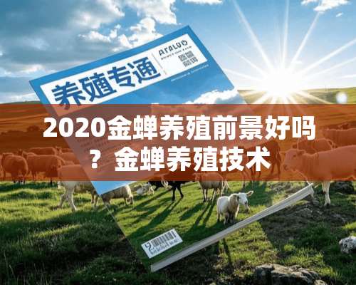 2020金蝉养殖前景好吗？金蝉养殖技术