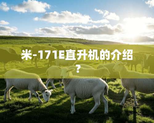 米-171E直升机的介绍？