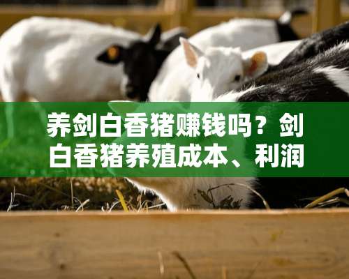 养剑白香猪赚钱吗？剑白香猪养殖成本、利润分析！