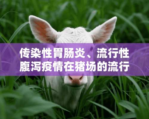 传染性胃肠炎、流行性腹泻疫情在猪场的流行