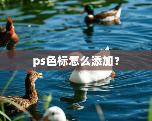 ps色标怎么添加？