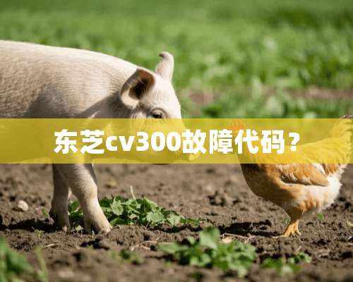 东芝cv300故障代码？