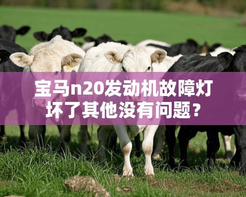 宝马n20发动机故障灯坏了其他没有问题？