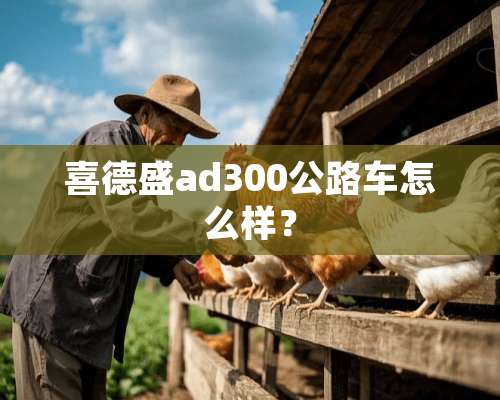 喜德盛ad300公路车怎么样？