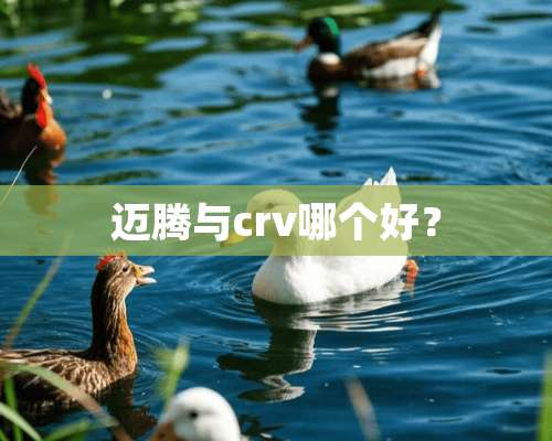 迈腾与crv哪个好？