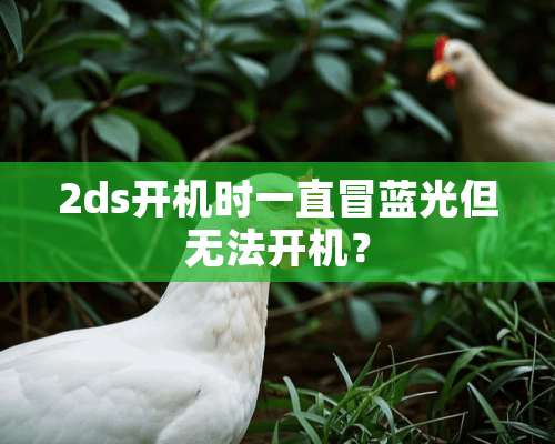 2ds开机时一直冒蓝光但无法开机？