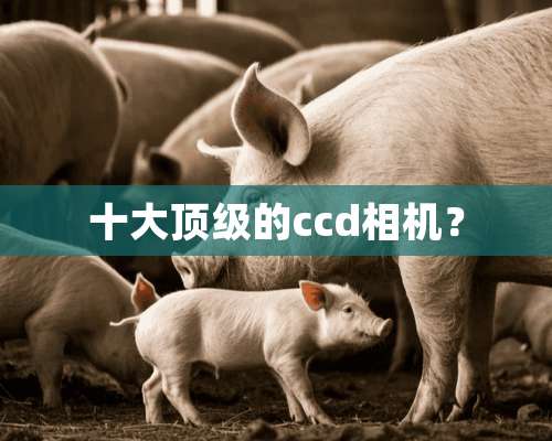 十大**的ccd相机？